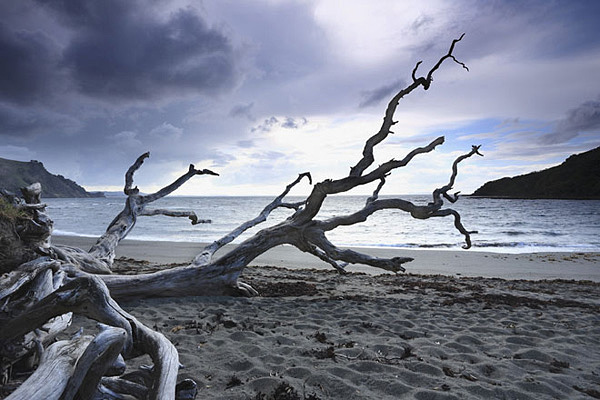 Fine Art Print Of New Zealand Seascape | David Still Fine Art Photography